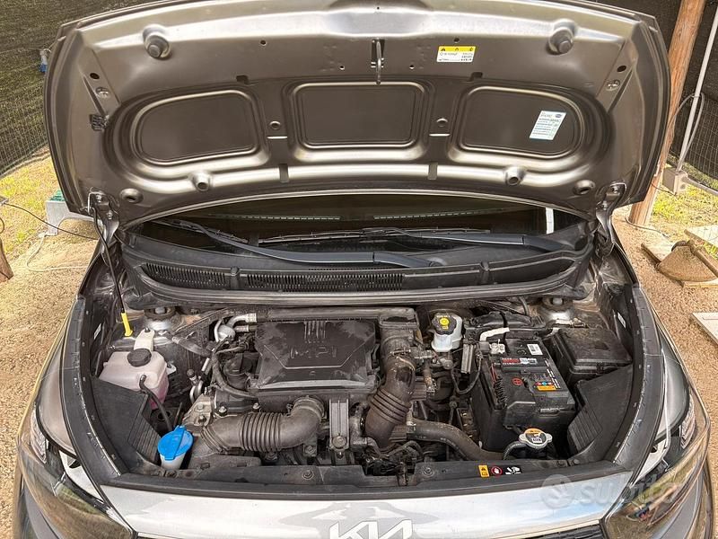Usata Kia Picanto 69 CV (50 kW) 2022 Grigio Utilitaria