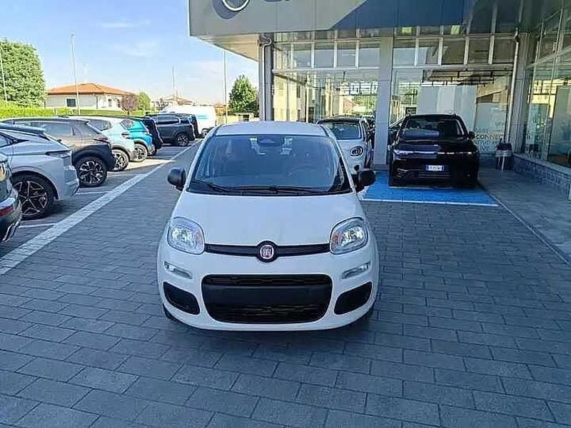 Nuova Fiat Panda Icon 69 CV (50 kW) 2025 Bianco Utilitaria
