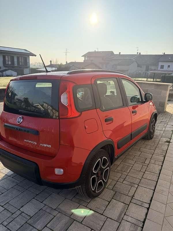 Usata Fiat Panda Cross Cross 69 CV (50 kW) 2022 Utilitaria