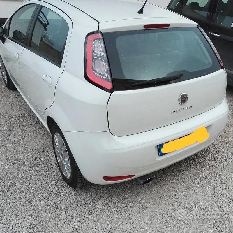 Usata Fiat Punto Evo 2012 Utilitaria