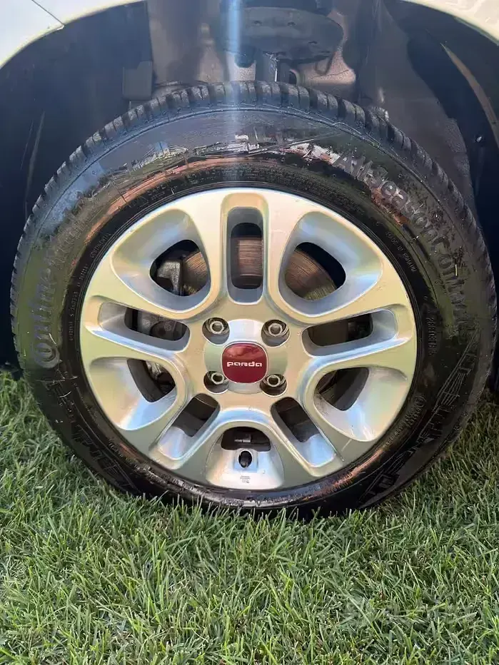 Usata Fiat Panda Lounge 69 CV (50 kW) 2016 Grigio Utilitaria