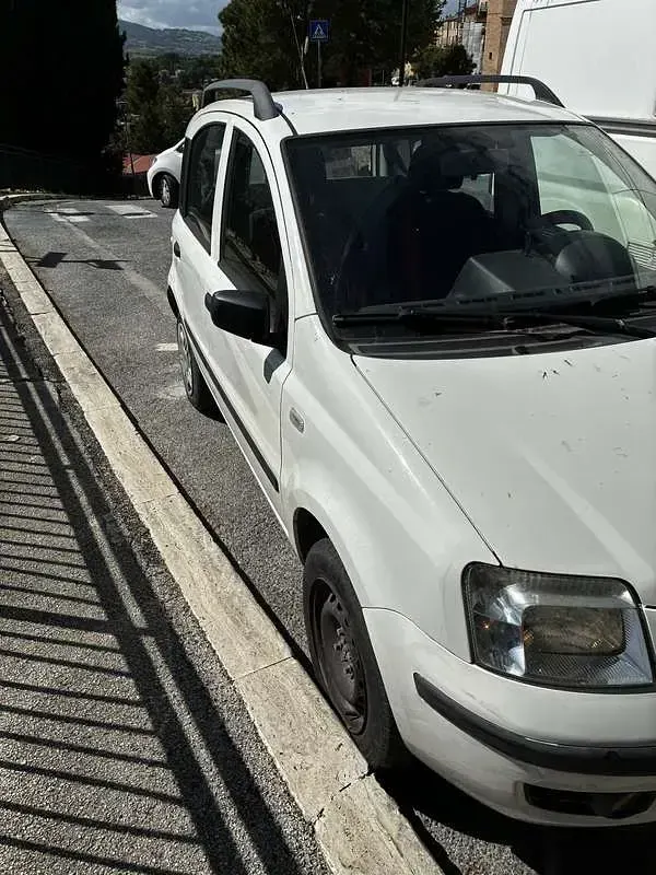 Usata Fiat Panda Dynamic 60 CV (44 kW) 2009 Bianco Utilitaria