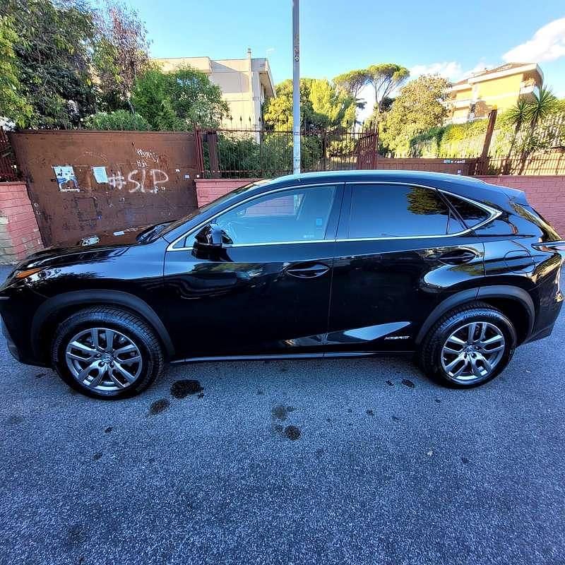 Usata Lexus NX300h Executive Line 155 CV (114 kW) 2017 SUV