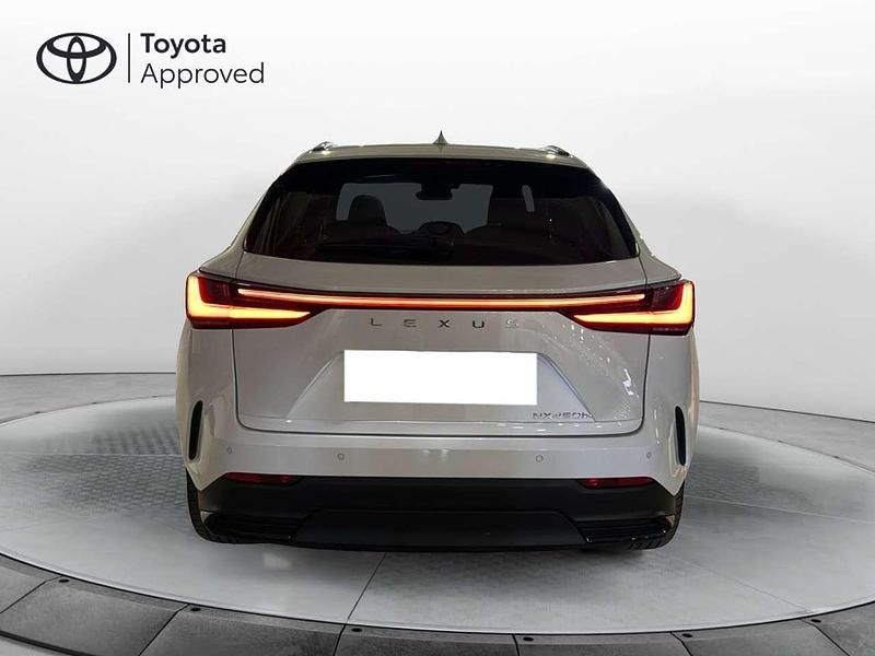 Usata Lexus NX300 Luxury Line 309 CV (227 kW) 2023 Bianco SUV