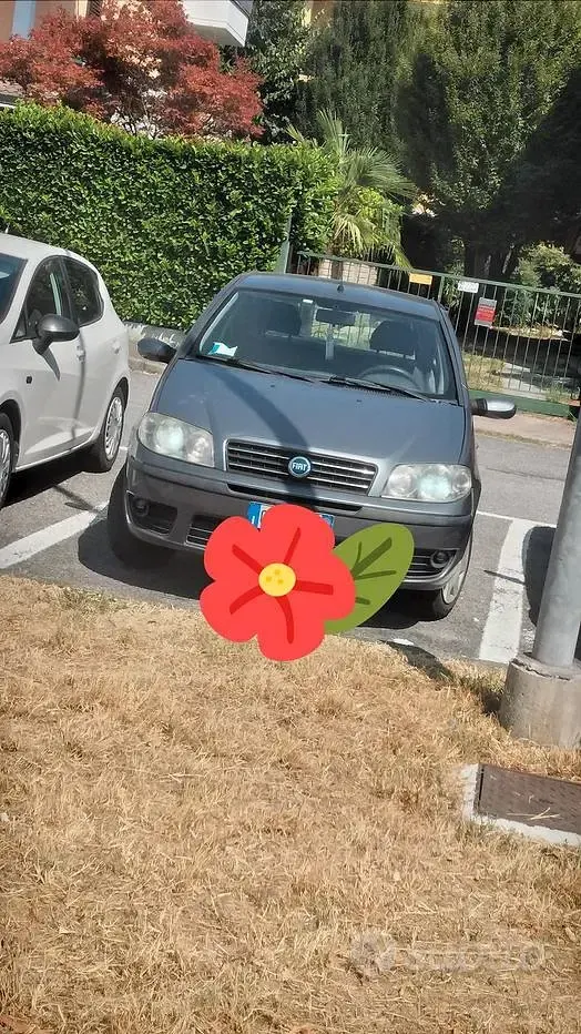 Usata Fiat Punto 80 CV (58 kW) 2003 Grigio Utilitaria