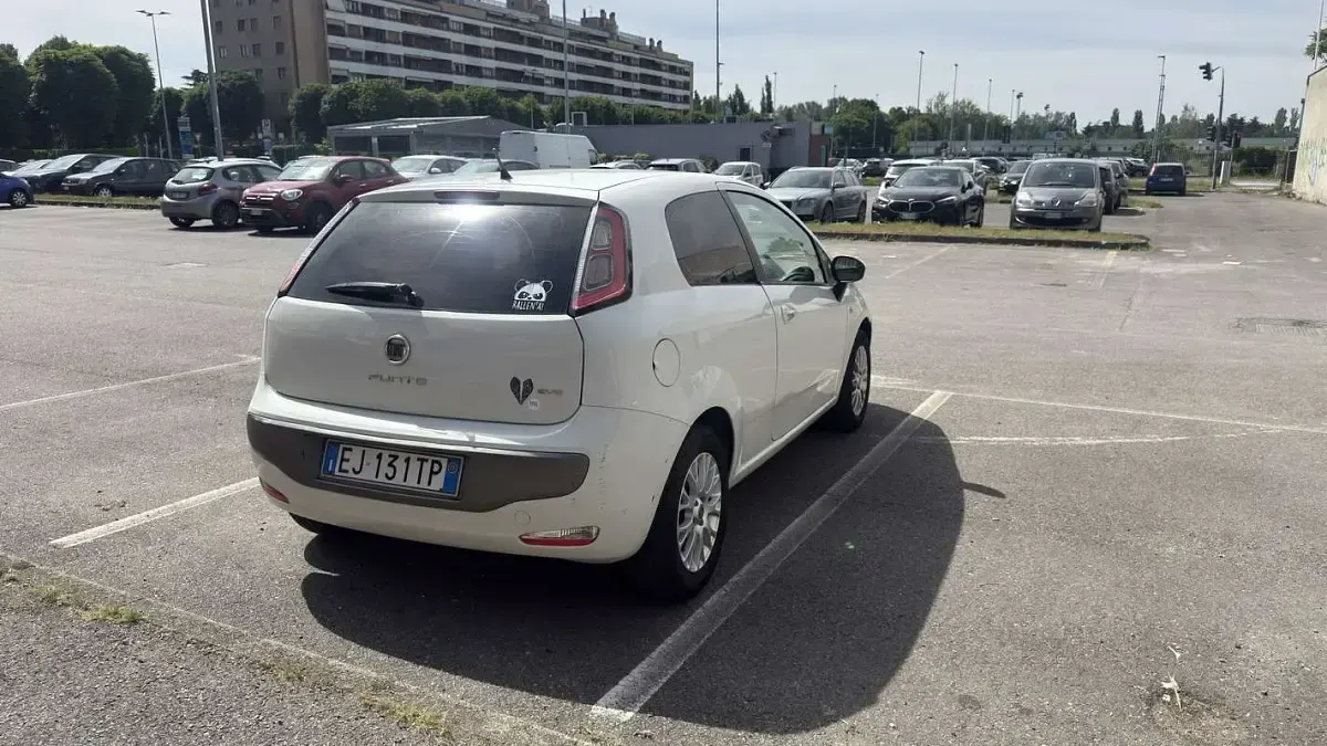 Usata Fiat Punto Evo 77 CV (56 kW) 2011 Utilitaria