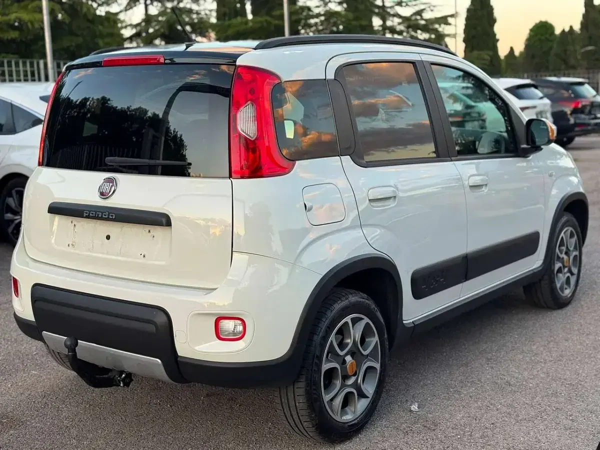 Usata Fiat Panda 4x4 Anniversary 86 CV (63 kW) 2014 Bianco Utilitaria