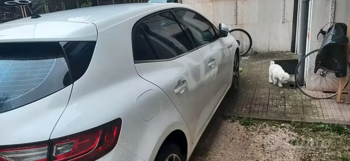 Usata Renault Mégane IV 131 CV (96 kW) 2019 Bianco Berlina