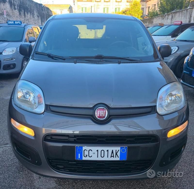 Usata Fiat Panda Easy 69 CV (50 kW) 2020 Grigio Utilitaria