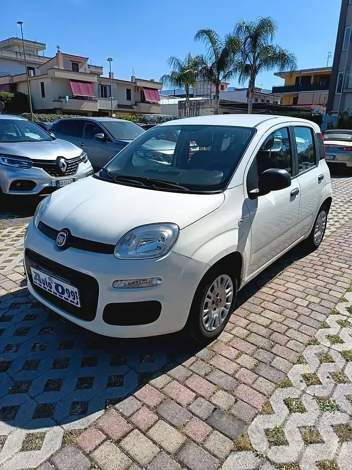 Usata Fiat Panda Lounge 69 CV (50 kW) 2019 Bianco Utilitaria