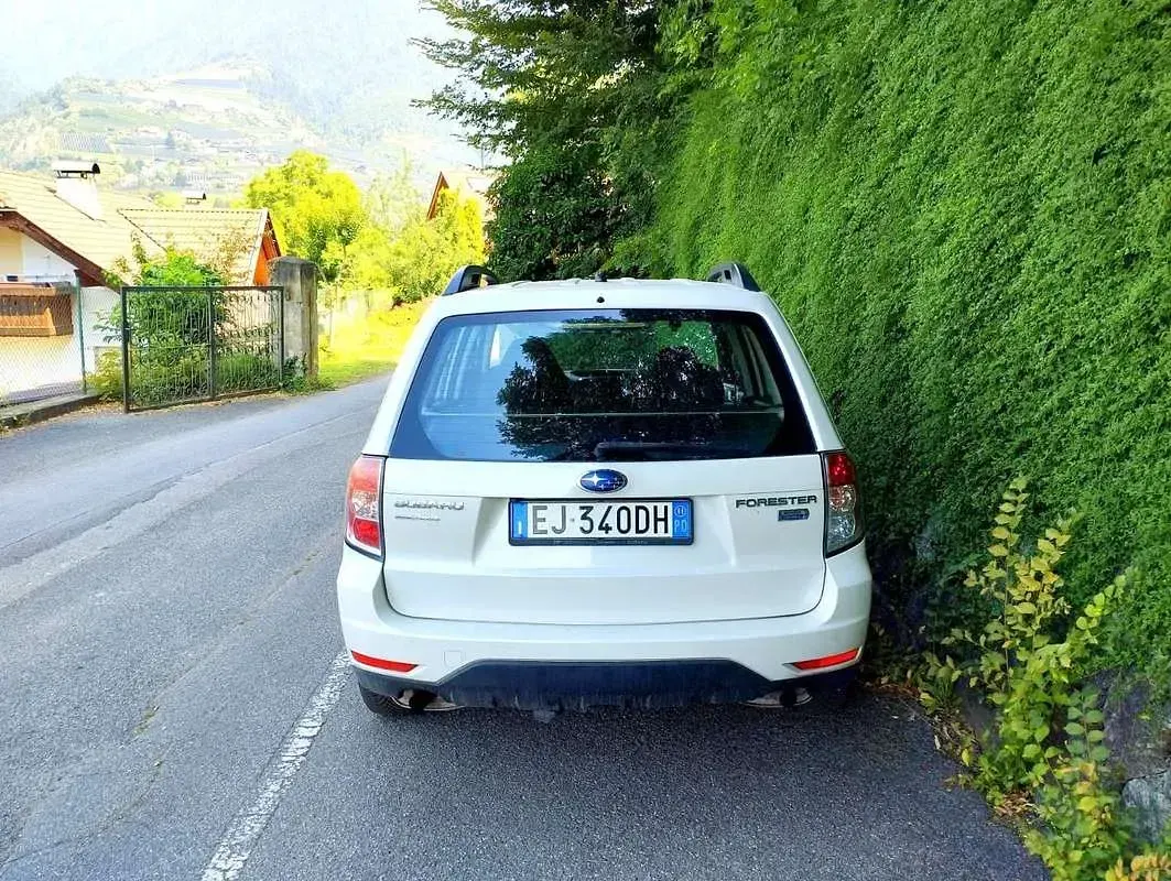 Usata Subaru Forester Trend 147 CV (108 kW) 2011 SUV