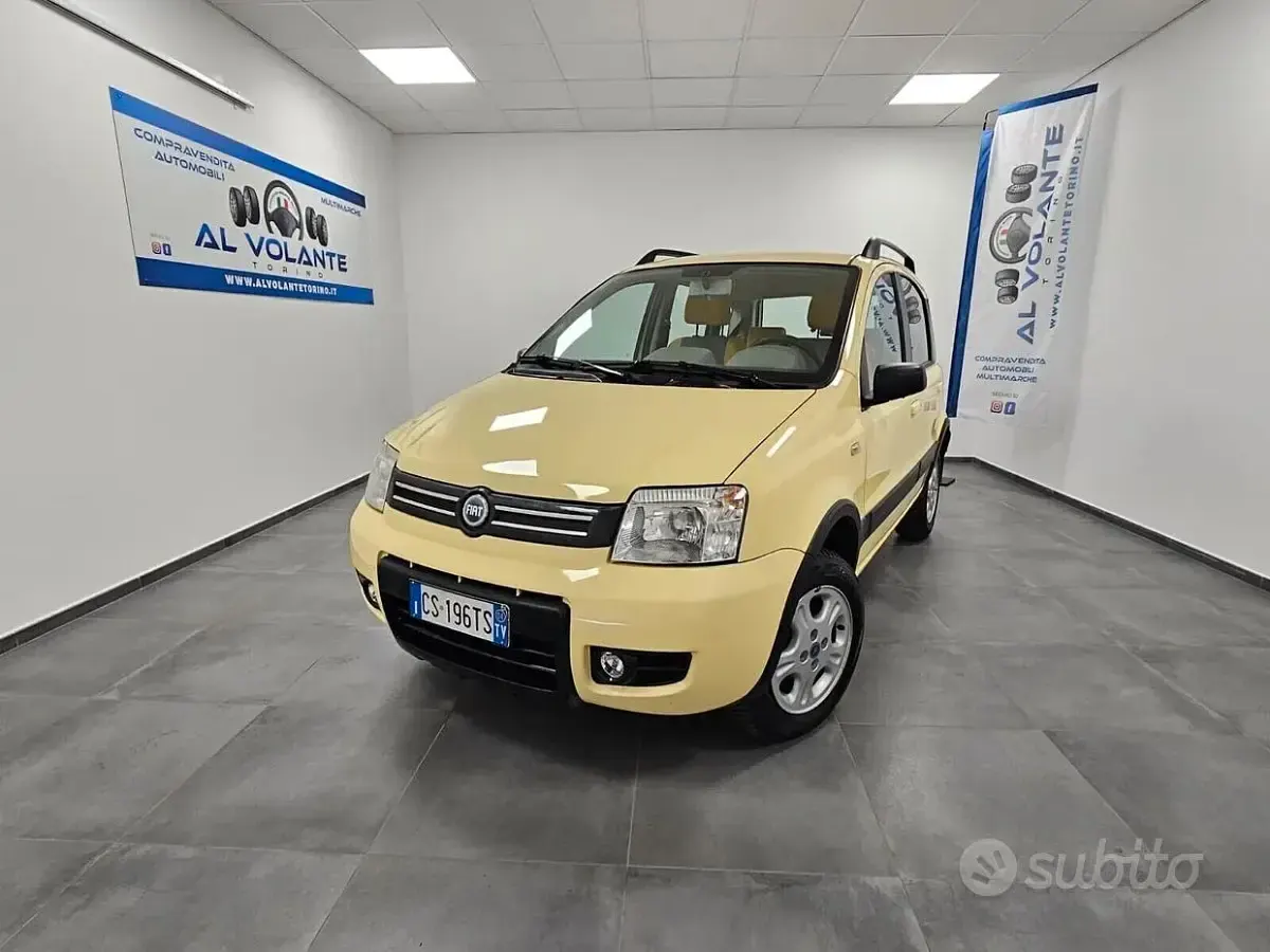Usata Fiat Panda 4x4 Climbing 60 CV (44 kW) 2004 Utilitaria