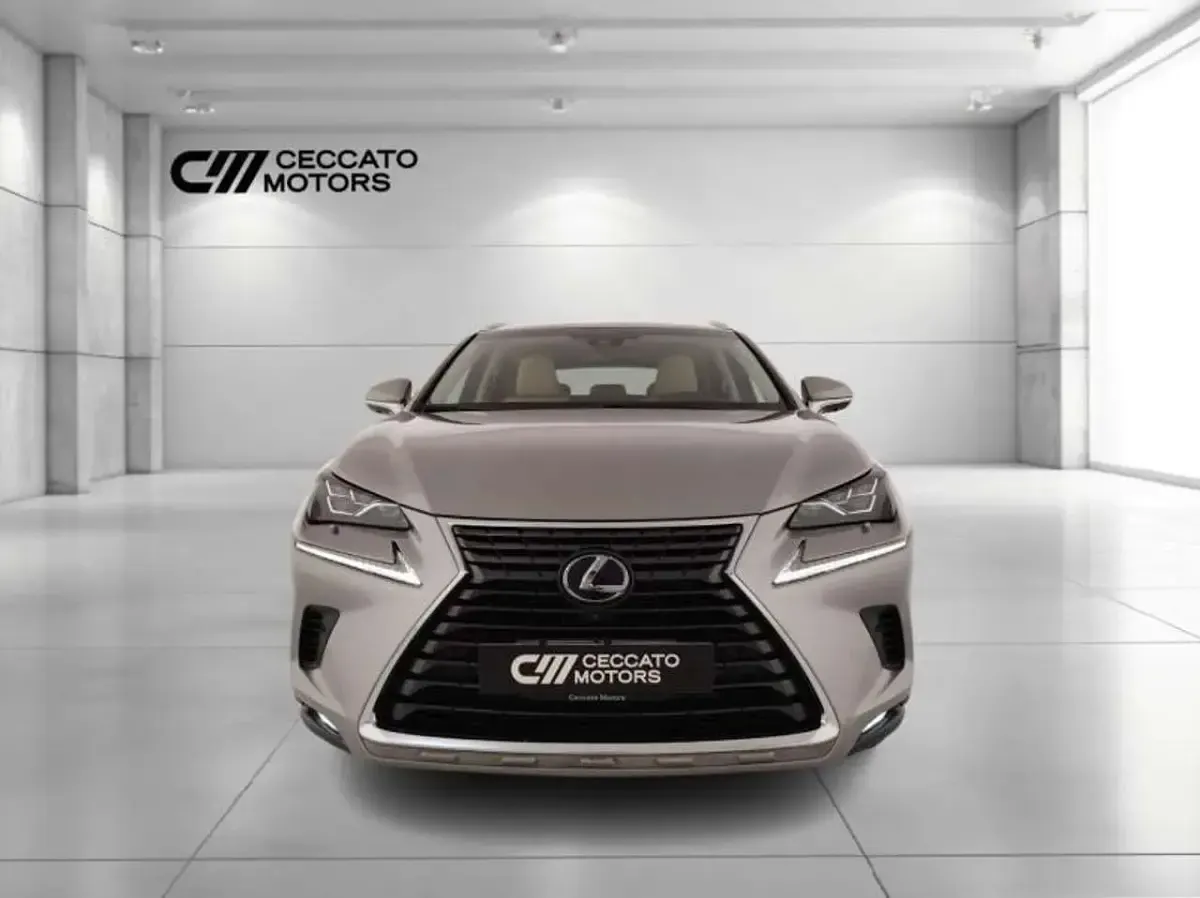 Usata Lexus NX300h Luxury Line 197 CV (144 kW) 2018 Grigio SUV