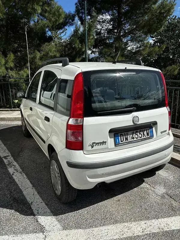 Usata Fiat Panda Dynamic 60 CV (44 kW) 2009 Bianco Utilitaria