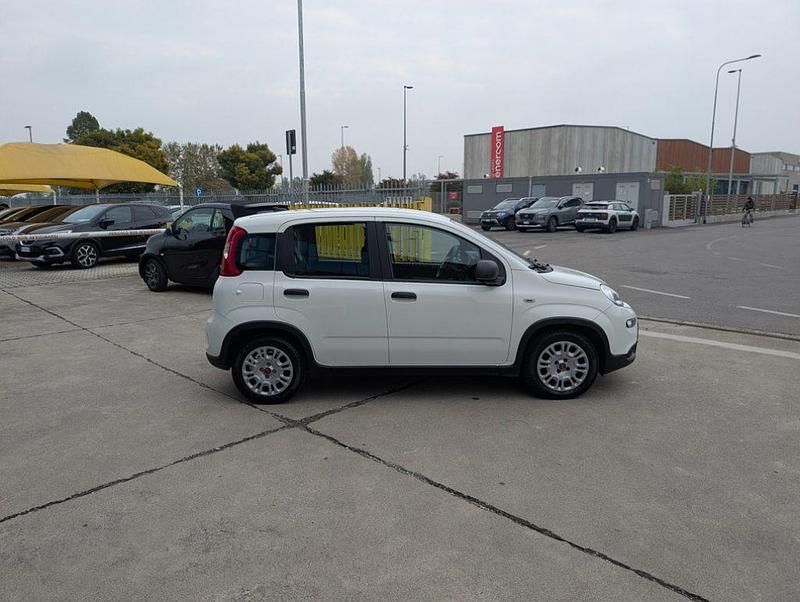 Usata Fiat Panda Comfort 69 CV (50 kW) 2023 Bianco / pastello Utilitaria