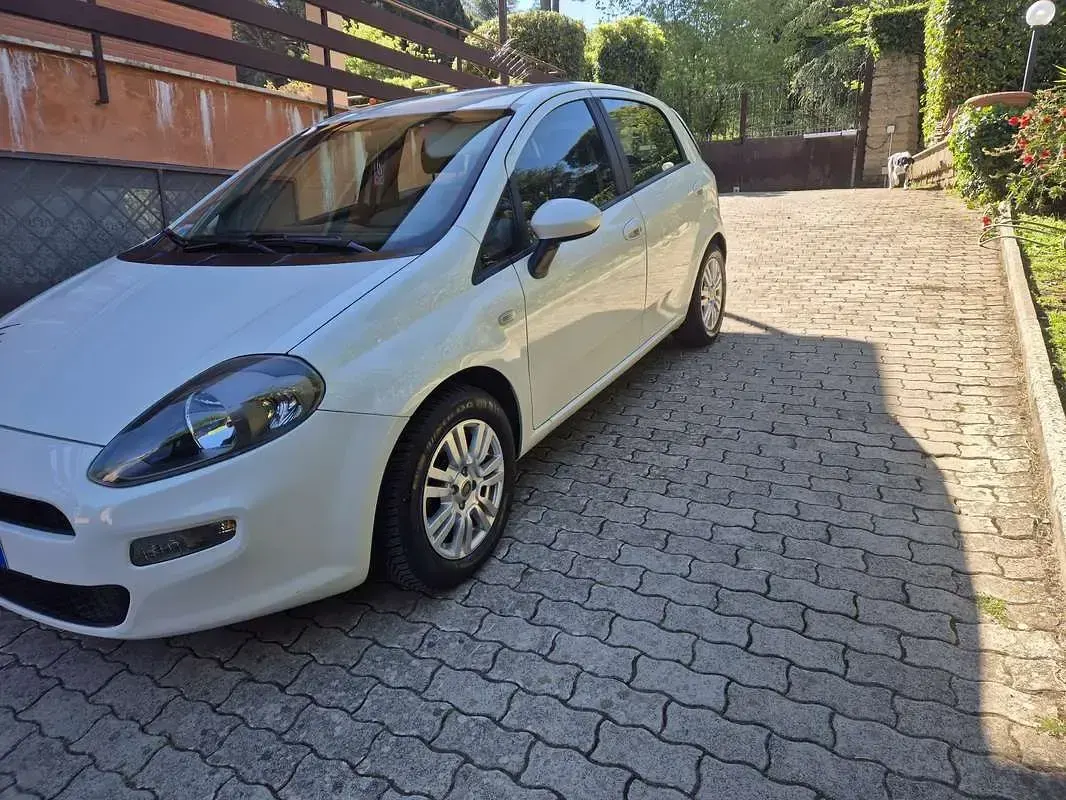 Usata Fiat Punto Evo Dynamic 69 CV (50 kW) 2012 Utilitaria