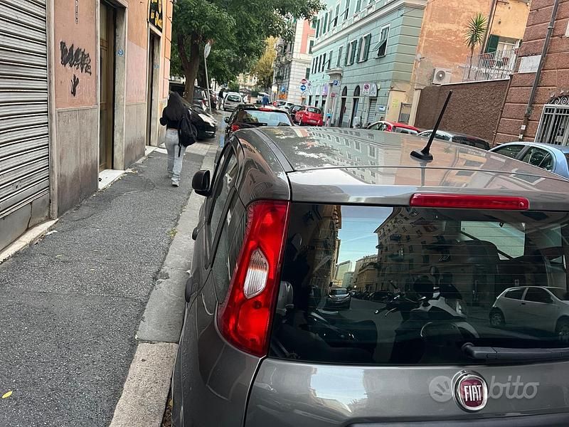 Usata Fiat Panda 2020 Grigio Berlina