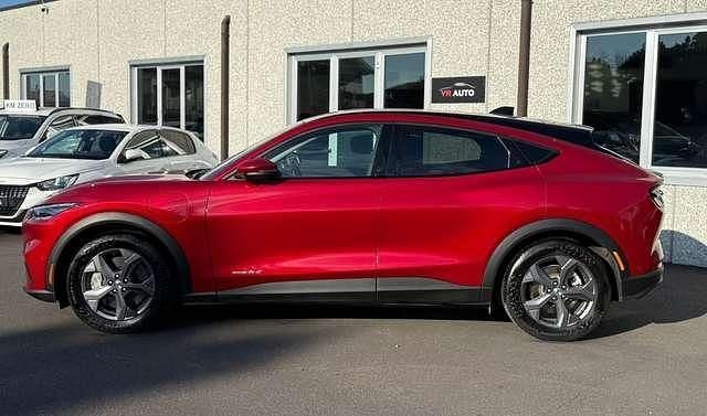 Usata Ford Mustang Mach-E Standard Range 197 kW (269 CV) 2023 Rosso SUV