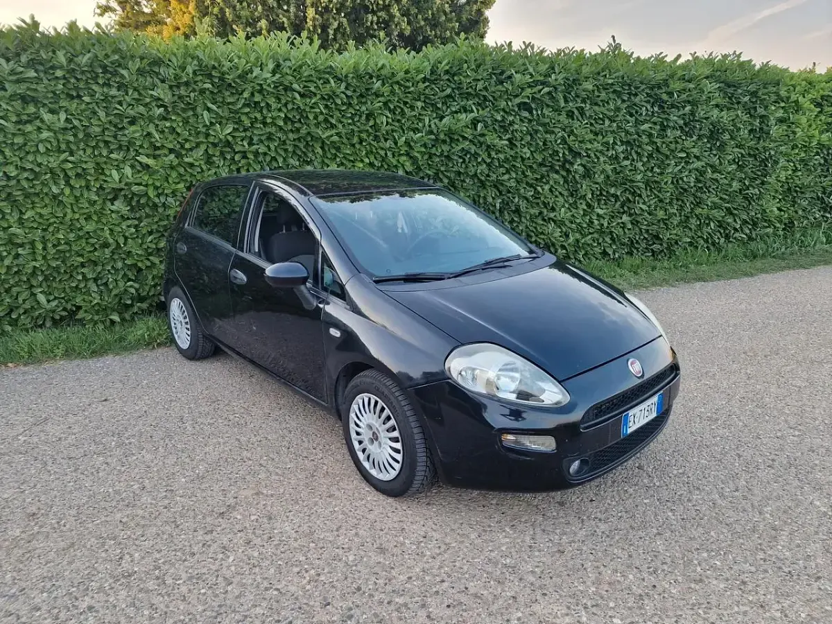Usata Fiat Punto Easy 75 CV (55 kW) 2014 Nero Utilitaria