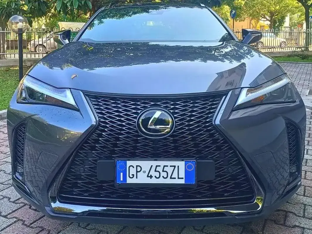 Usata Lexus UX 250h 184 CV (135 kW) 2023 Grigio SUV