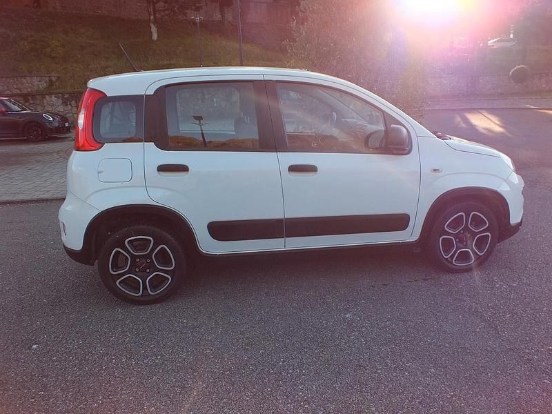 Usata Fiat Panda Street 71 CV (52 kW) 2021 Bianco Utilitaria