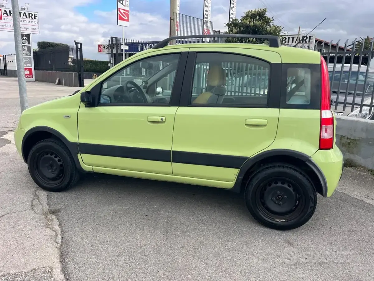 Usata Fiat Panda 4x4 Climbing 60 CV (44 kW) 2006 Verde Utilitaria