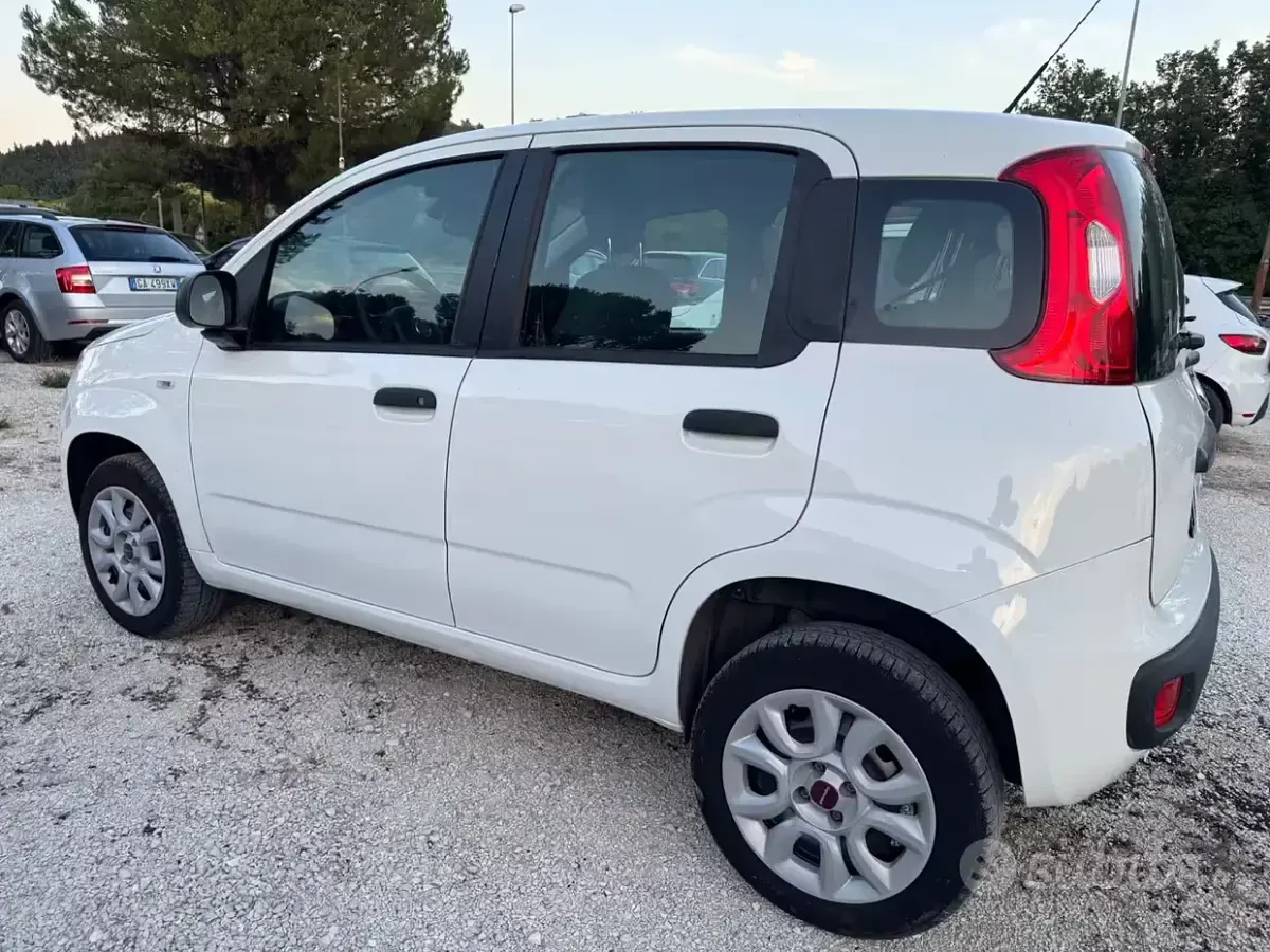 Usata Fiat Panda Easy 80 CV (58 kW) 2018 Bianco Utilitaria
