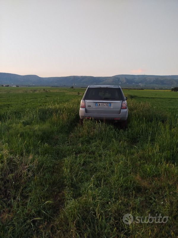 Usata Land Rover Freelander 2 150 CV (110 kW) 2014 SUV