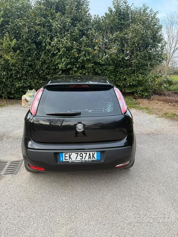 Usata Fiat Punto Evo Active 69 CV (50 kW) 2011 Nero Utilitaria