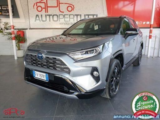 Usata Toyota RAV4 Hybrid Lounge 218 CV (160 kW) 2019 Argento SUV