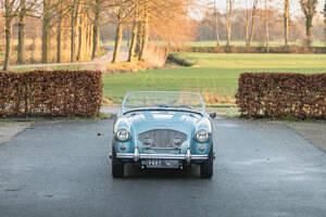 Usata Austin Healey 100 105 CV (77 kW) 1955 Blu Cabrio