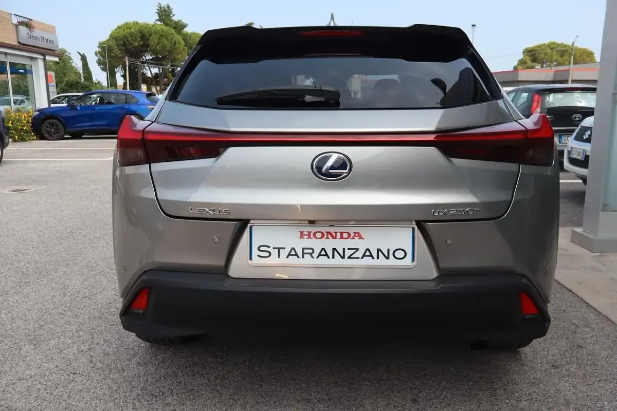 Usata Lexus UX 152 CV (111 kW) 2020 Grigio SUV