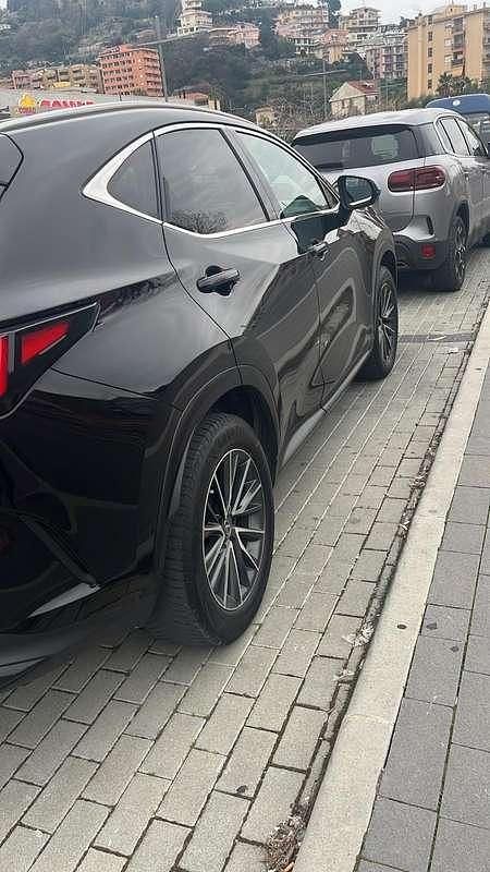 Usata Lexus NX350h 190 CV (139 kW) 2023 SUV