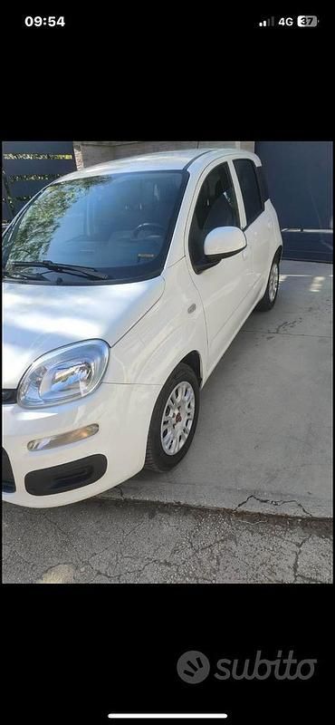 Usata Fiat Panda 2014 Bianco Utilitaria