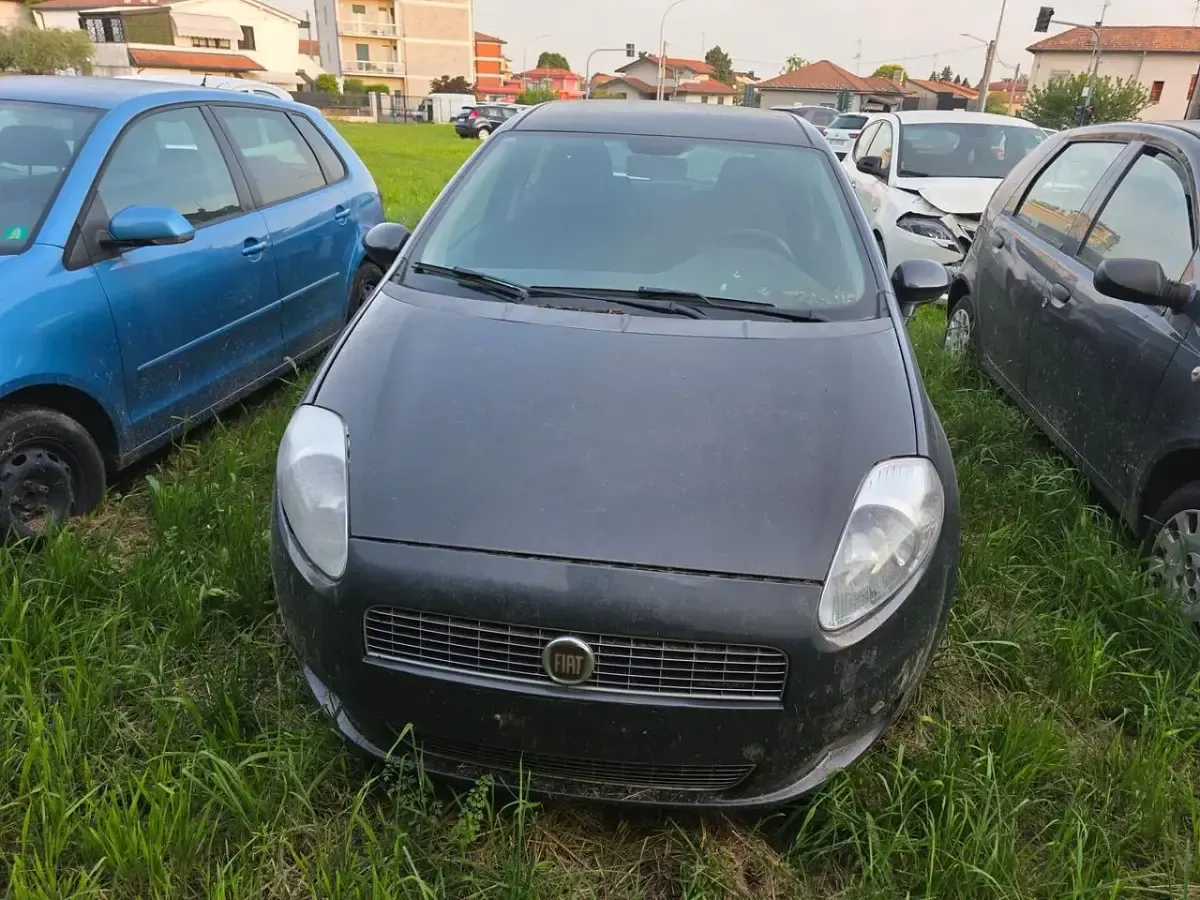Usata Fiat Punto Evo Active 95 CV (69 kW) 2010 Nero Utilitaria