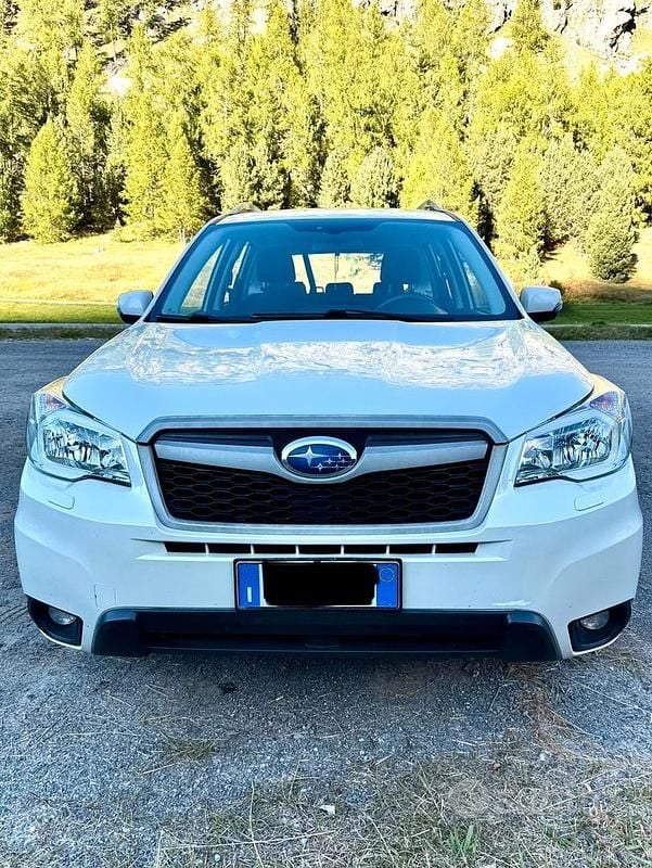 Usata Subaru Forester 147 CV (108 kW) 2015 Bianco SUV