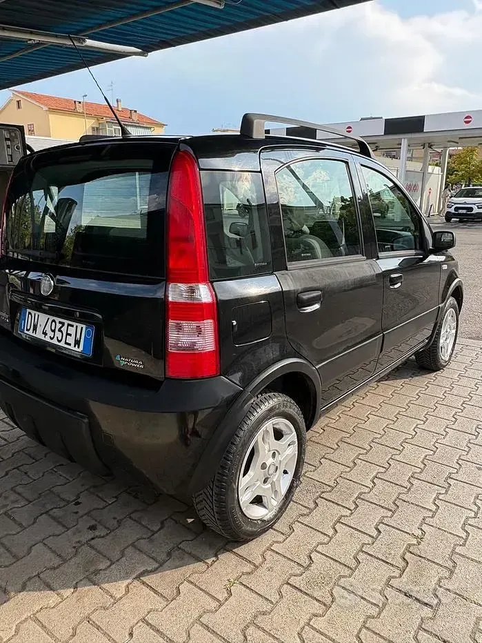 Usata Fiat Panda Dynamic 60 CV (44 kW) 2009 Nero Utilitaria