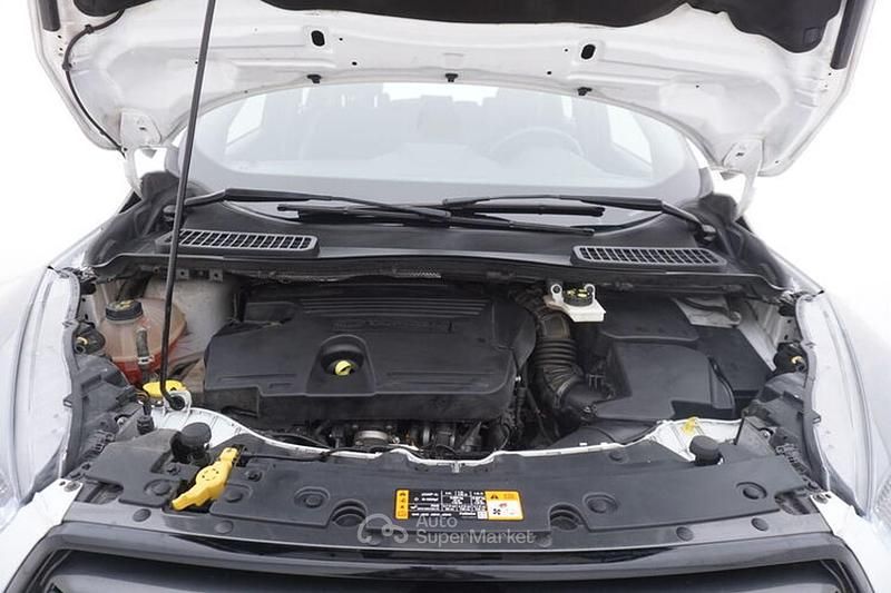 Usata Ford Kuga 120 CV (88 kW) 2019 Bianco SUV