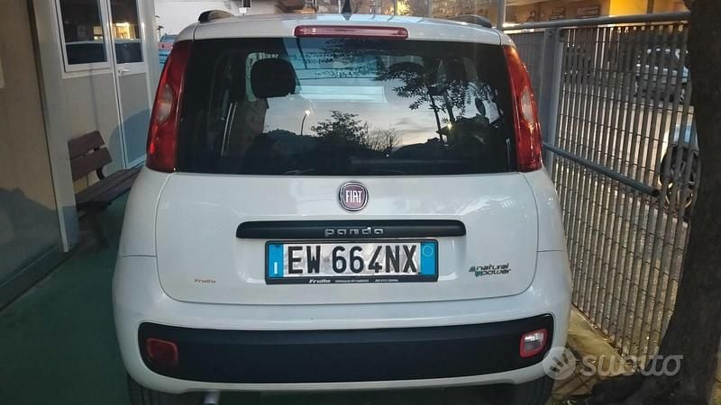 Usata Fiat Panda Easy 80 CV (58 kW) 2014 Bianco Berlina