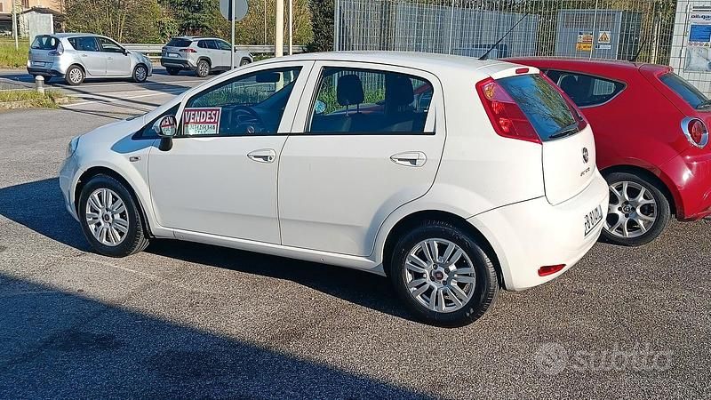 Usata Fiat Punto 75 CV (55 kW) 2016 Bianco Utilitaria