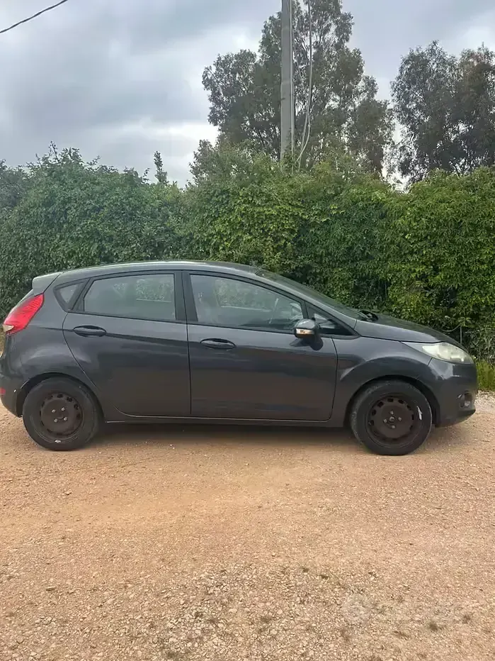Usata Ford Fiesta Titanium 68 CV (50 kW) 2009 Grigio Berlina