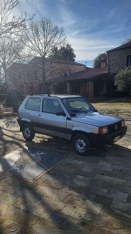 Usata Fiat Panda 4x4 Trekking 54 CV (39 kW) 2002 Argento Utilitaria