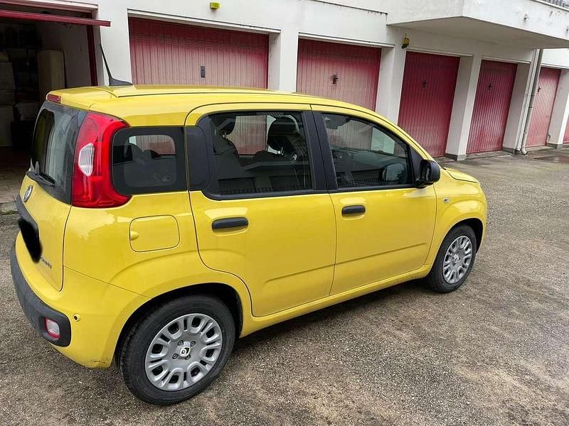 Nuova Fiat Panda Icon 69 CV (50 kW) 2025 Giallo Utilitaria