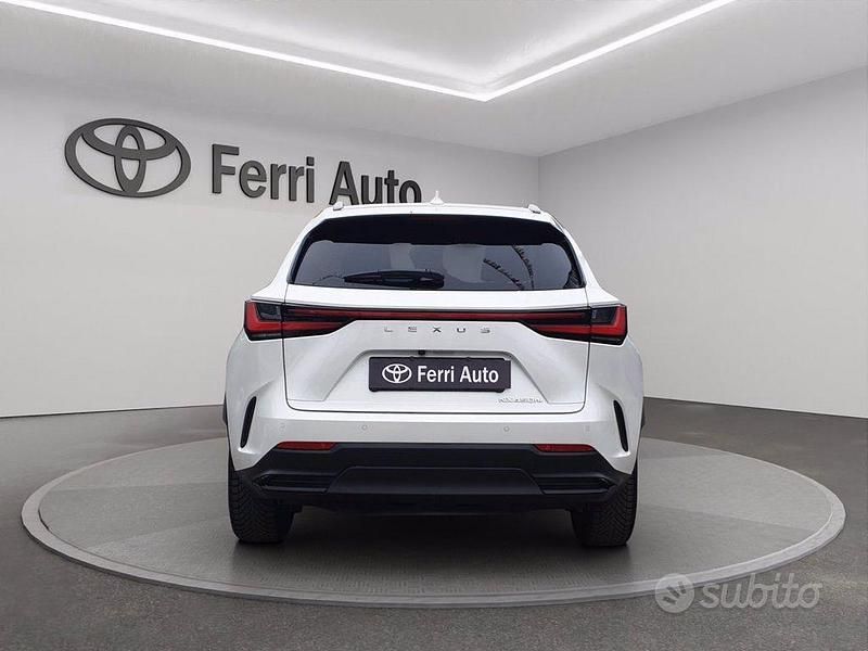 Usata Lexus NX450h+ 309 CV (227 kW) 2023 Bianco SUV