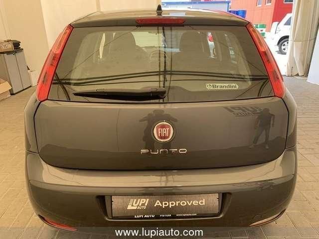 Usata Fiat Punto 69 CV (50 kW) 2016 Grigio Utilitaria
