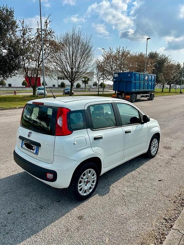 Usata Fiat Panda Easy 69 CV (50 kW) 2019 Bianco Utilitaria
