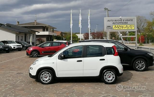 Usata Fiat Panda S 70 CV (51 kW) 2023 Bianco Utilitaria