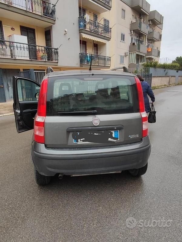 Usata Fiat Panda 77 CV (56 kW) 2011 Grigio Utilitaria