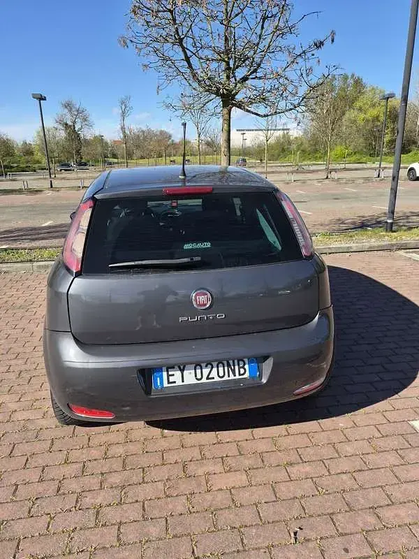 Usata Fiat Punto Young 77 CV (56 kW) 2015 Grigio Utilitaria