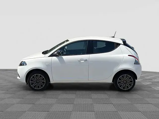 Usata Lancia Ypsilon Gold 69 CV (50 kW) 2024 Bianco neve Utilitaria